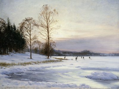 Donmuş Gölde Patenciler by Sigvard Hansen