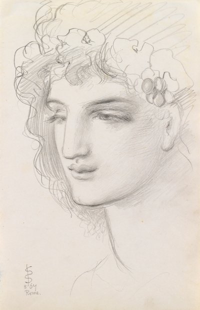 Sal üzerinde bir Menagerie by Simeon Solomon