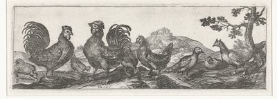 Kümes hayvanları Kuşlar ve böcekler (dizi adı) by Simon Frisius