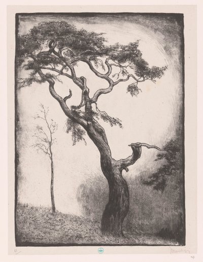 çam ağacı by Simon Moulijn (signed by artist)