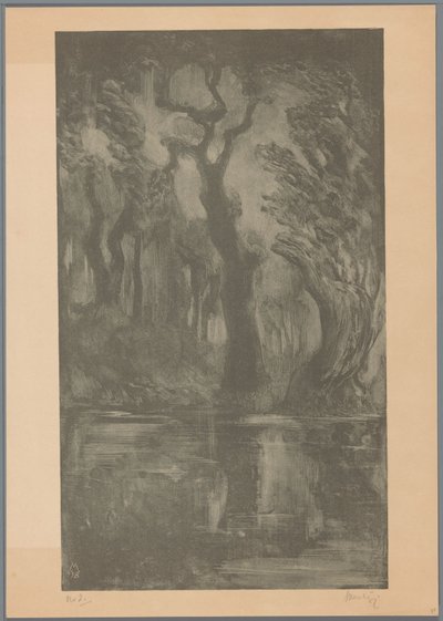 Ormanda su Rüya Ormanı (orijinal başlık) by Simon Moulijn (signed by artist)