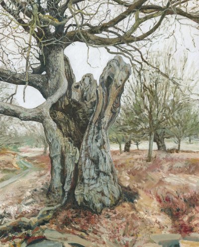 Yaşlı ağaç, Richmond Parkı, 2018 (keten üzerine yağlıboya) by Simon Neville