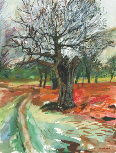 Yaşlı ağaç, Richmond Parkı, 2019 (kağıt üzerine suluboya kalem ve akrilik boya markörü) by Simon Neville