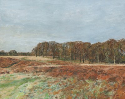Richmond Park, 2019 (tuval üzerine yağlıboya) by Simon Neville