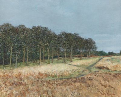 Woodland, Richmond Park, 2019 (tuval üzerine yağlıboya) by Simon Neville