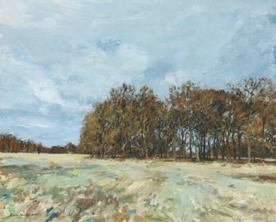 Woodland, Richmond Park, 2019 (panel üzerine yağlıboya) by Simon Neville
