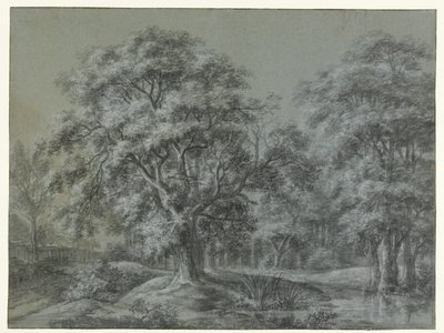 Bir su ile orman manzarası by Simon de Vlieger