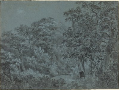 Lahey Ormanlarında by Simon de Vlieger