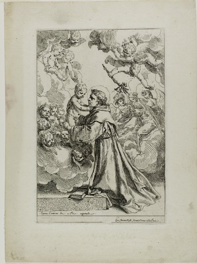 Padua