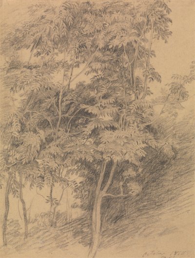 Ağaç Çalışması by Sir David Wilkie