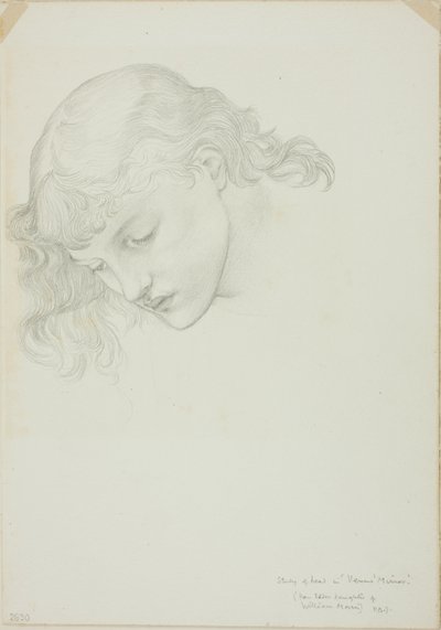 Başkan, Venüs Aynası Çalışması by Sir Edward Burne Jones