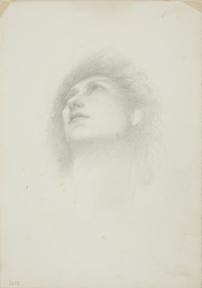 Yüzü Kalkmış Bir Kadının Başı by Sir Edward Burne Jones