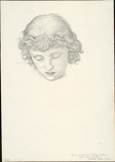 Venüs Aynası için Çalışma: Kafa by Sir Edward Burne Jones