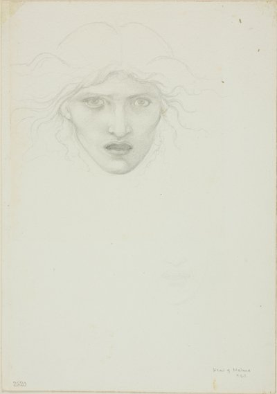 Rondanini Medusa için çalışma by Sir Edward Burne Jones