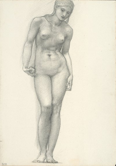 Sağ Elinde Altın Elmalı Venüs, Truva Üçlüsü için (sketchbook #2639) by Sir Edward Burne Jones