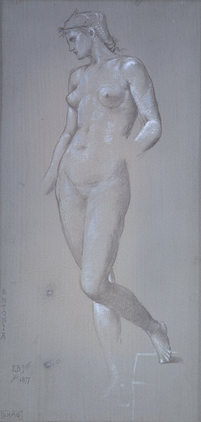 Antonia, 1877 by Sir Edward Coley Burne Jones