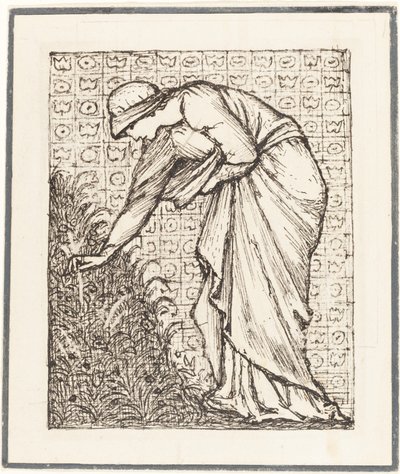 Bayan Çiçek Toplama by Sir Edward Coley Burne Jones