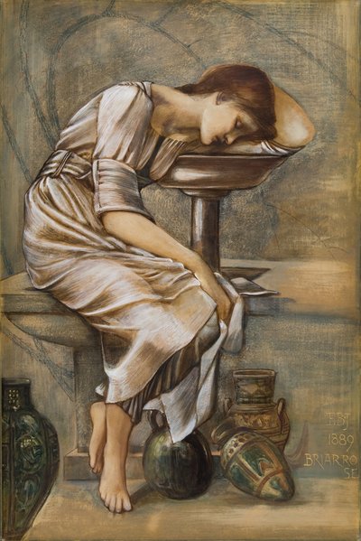 Briar Rose Serisi - 