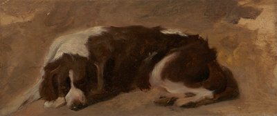 uzanmış bir İspanyol by Sir Edwin Henry Landseer