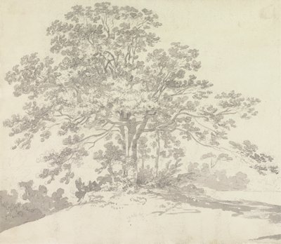 Ağaç by Sir George Howland Beaumont seventh Baronet
