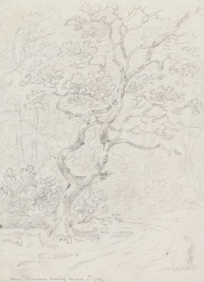 Ağaçlar, Yakın Lozan by Sir George Howland Beaumont seventh Baronet