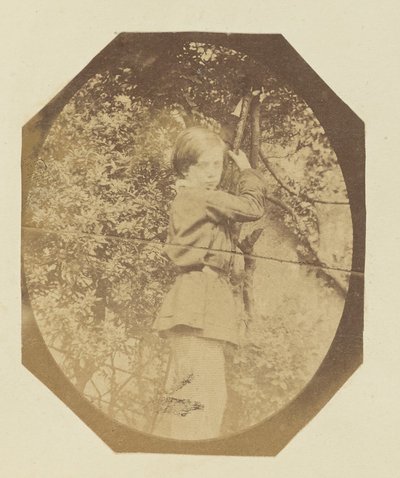  by Sir John Joscelyn Coghill