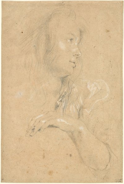 Profildeki genç kadın by Sir Peter Paul Rubens