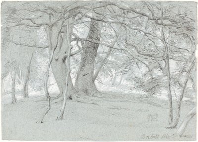 Box Hill