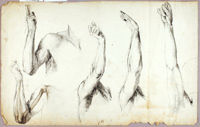  by Solon H. Borglum