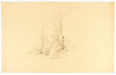  by Solon H. Borglum