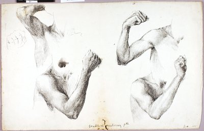  by Solon H. Borglum