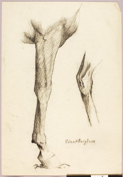 by Solon H. Borglum