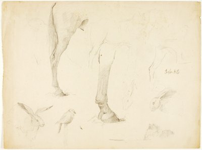  by Solon H. Borglum