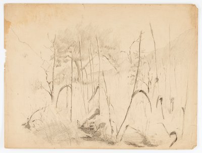  by Solon H. Borglum