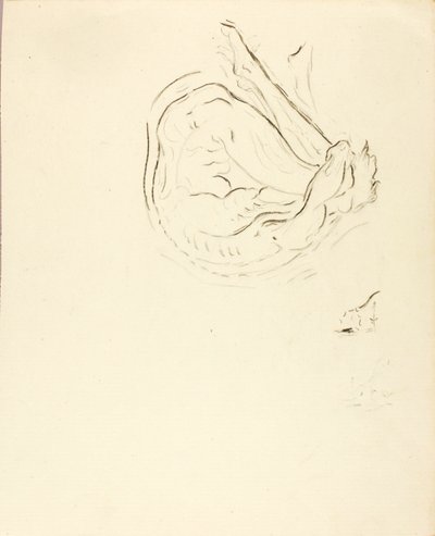  by Solon H. Borglum