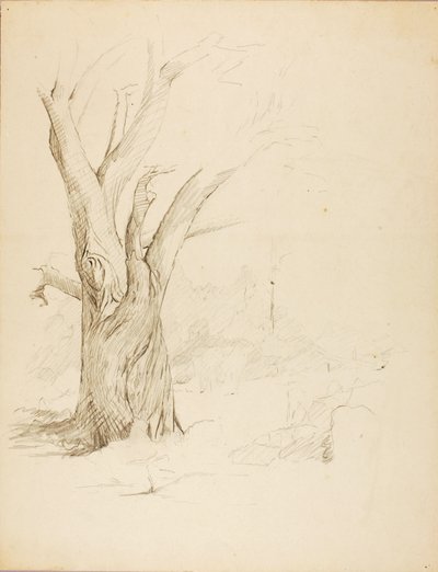  by Solon H. Borglum