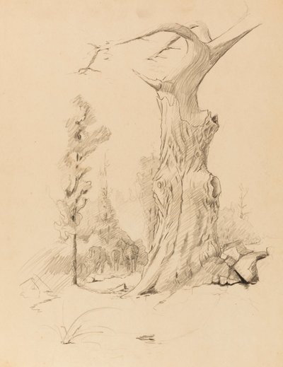 by Solon H. Borglum