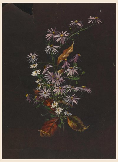 Sonbahar Buketi, ca. 1890 by Sophia L. Crownfield