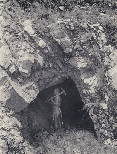Baberton yakınlarındaki Resifte Bir Sürüş (s/b fotoğraf) by South African Photographer