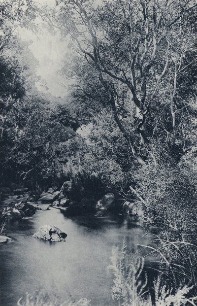 Witpoortje yakınlarında bir Peri Sahnesi (s/b fotoğraf) by South African Photographer