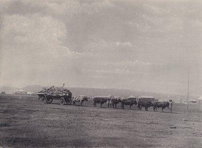 Bir Öküz Arabası (s/b fotoğraf) by South African Photographer