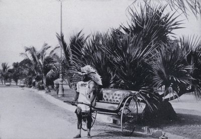 Bay Esplanade, Durban, Ricksha'yı gösteriyor (s/b fotoğraf) by South African Photographer