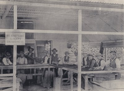 Elmas Sıralama, Wesselton Madeni (s/b fotoğraf) by South African Photographer
