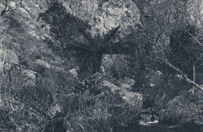 Witpoortje Kloof'ta (s/b fotoğraf) by South African Photographer