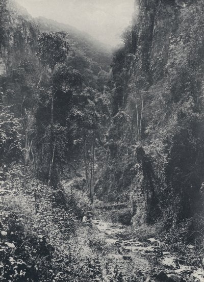 Pilgrims' Rest yakınındaki sahne (s/b fotoğraf) by South African Photographer