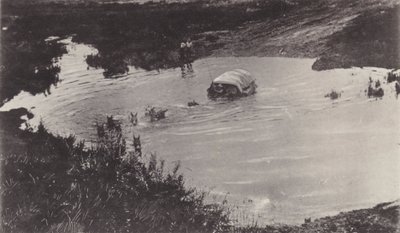 Koçluğun bazen içerdiği şey, bir Yaşam Mücadelesi (s/b fotoğraf) by South African Photographer