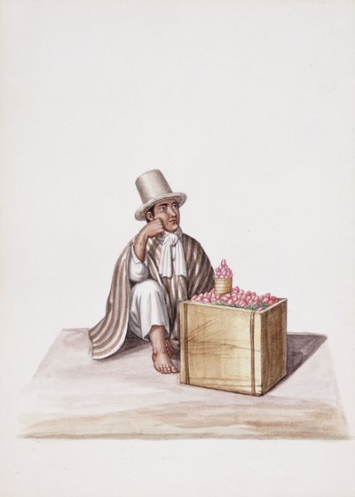 Yeni Granada Türleri ve Kostümleri by South American School