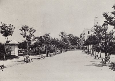 Cadiz: Alameda de Apodaca (s/b fotoğraf) by Spanish Photographer