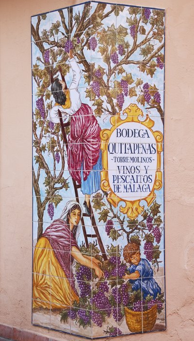 Bodega Quitapenas