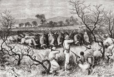 19. yüzyılın sonlarında Orta Afrika